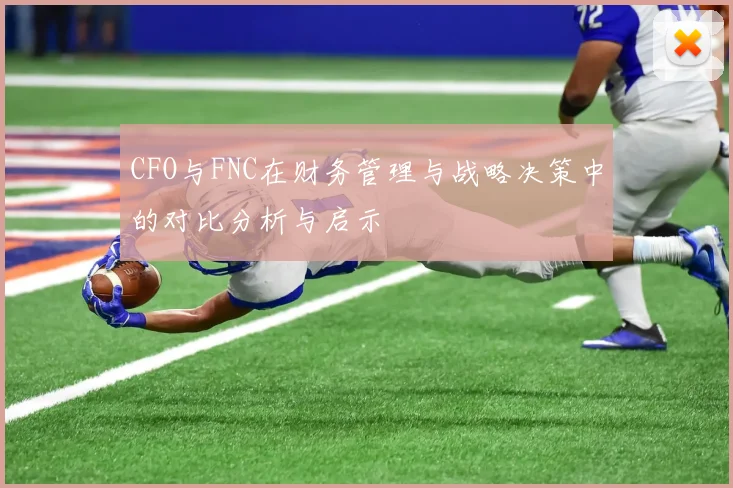 CFO与FNC在财务管理与战略决策中的对比分析与启示