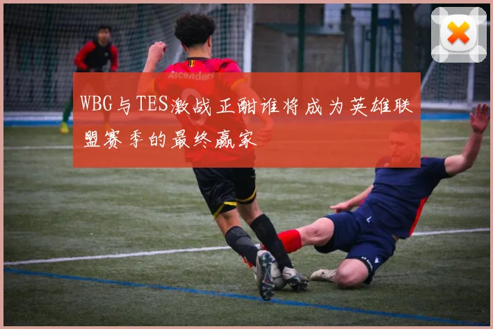 WBG与TES激战正酣谁将成为英雄联盟赛季的最终赢家