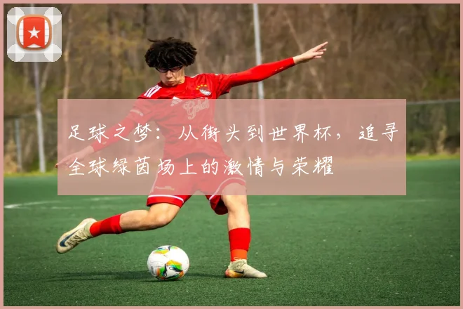 足球之梦：从街头到世界杯，追寻全球绿茵场上的激情与荣耀