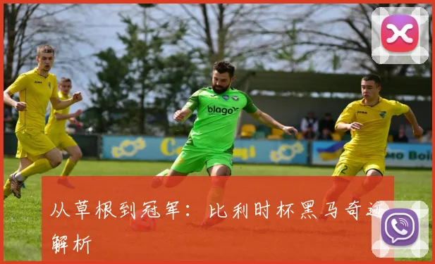 从草根到冠军：比利时杯黑马奇迹解析