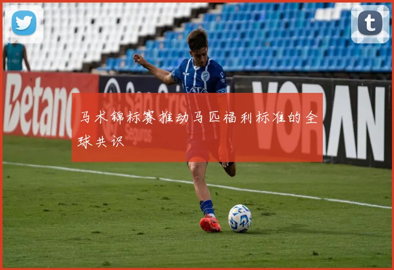 马术锦标赛推动马匹福利标准的全球共识