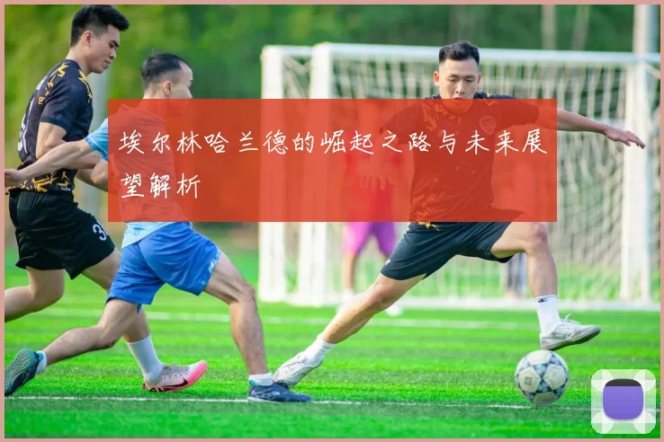 埃尔林哈兰德的崛起之路与未来展望解析