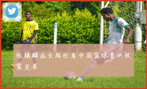 张镇麟成长路径看中国篮球青训政策变革