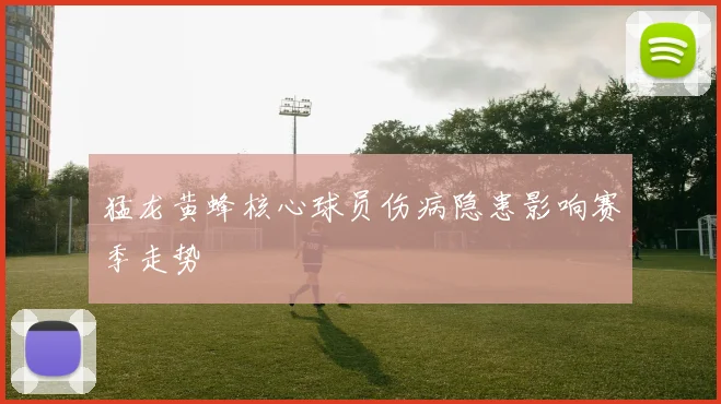 猛龙黄蜂核心球员伤病隐患影响赛季走势